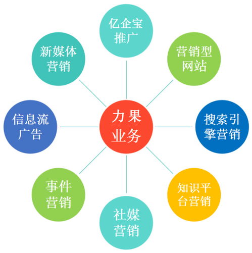 新公司杭州網絡推廣攻略 高效啟動網絡營銷的實戰指南
